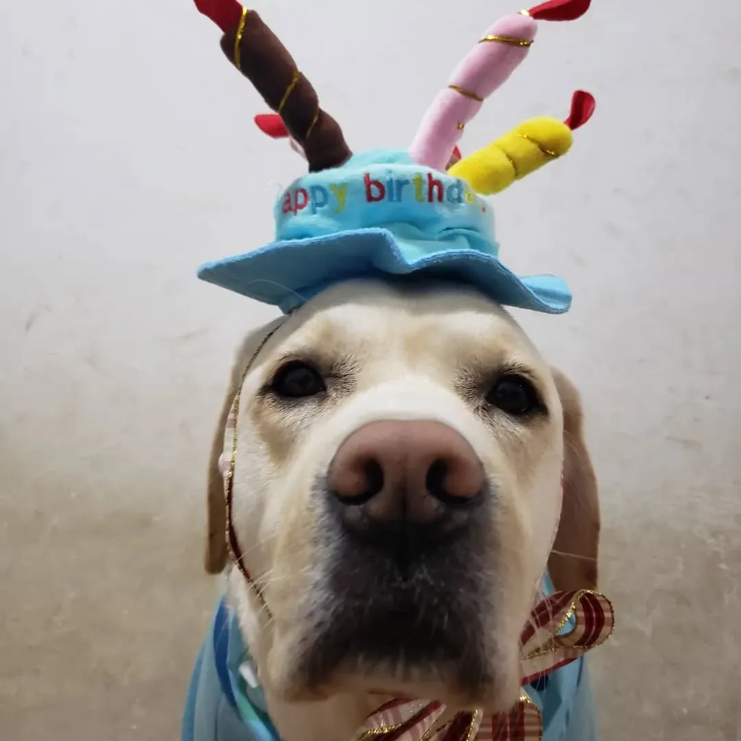 まーちゃんは4歳になりました🎉🎂