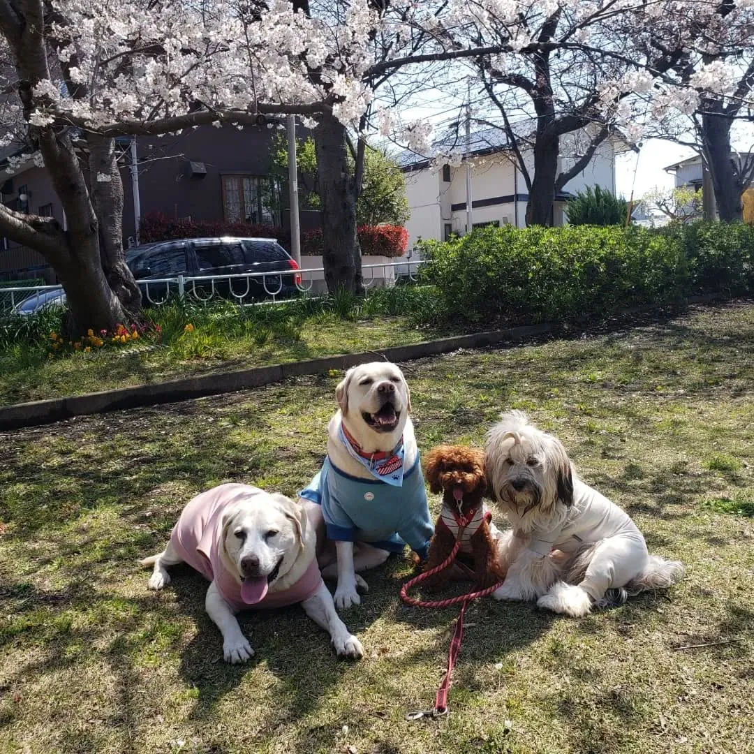 よいお天気になったので公園へ🎵