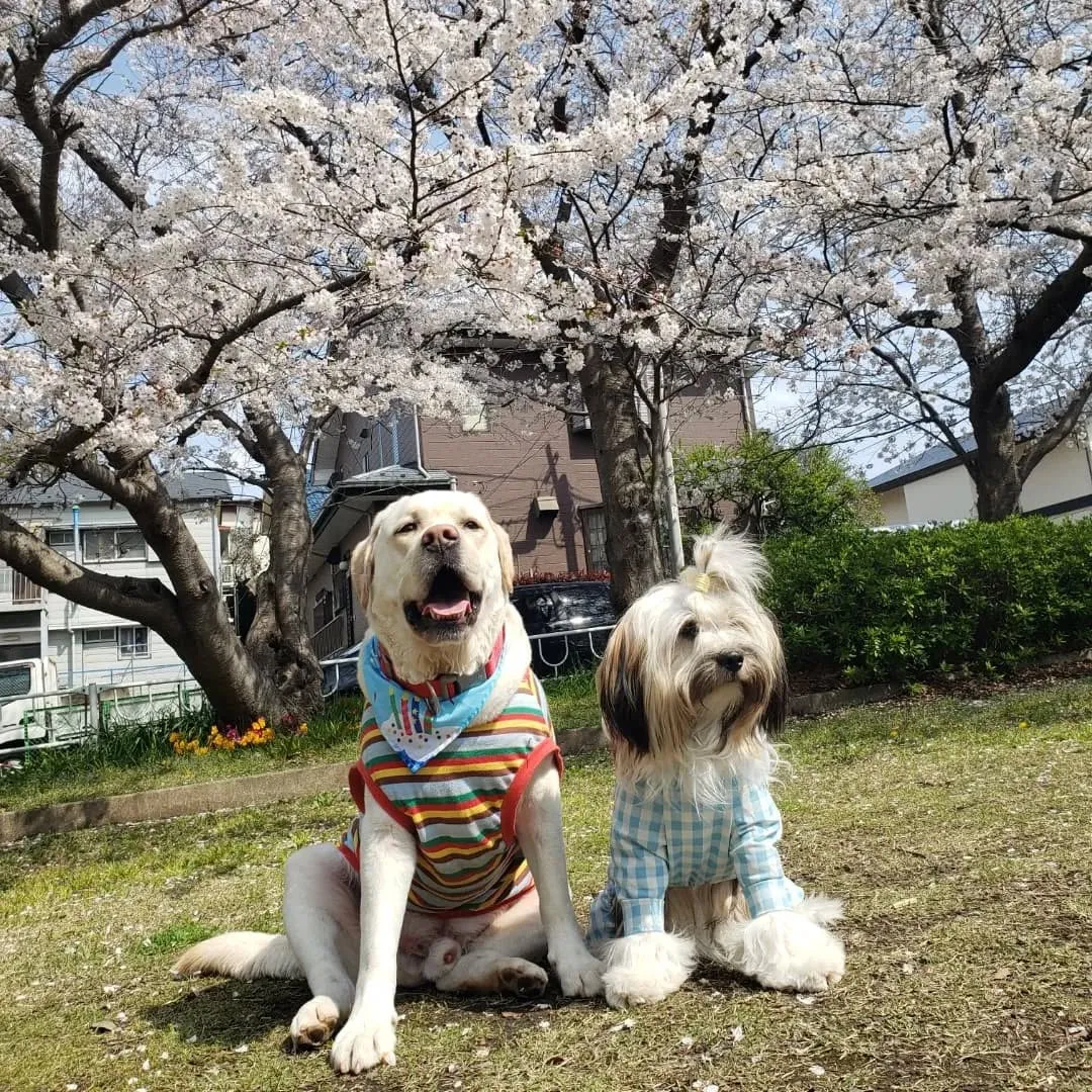 良いお天気なので公園へ♪