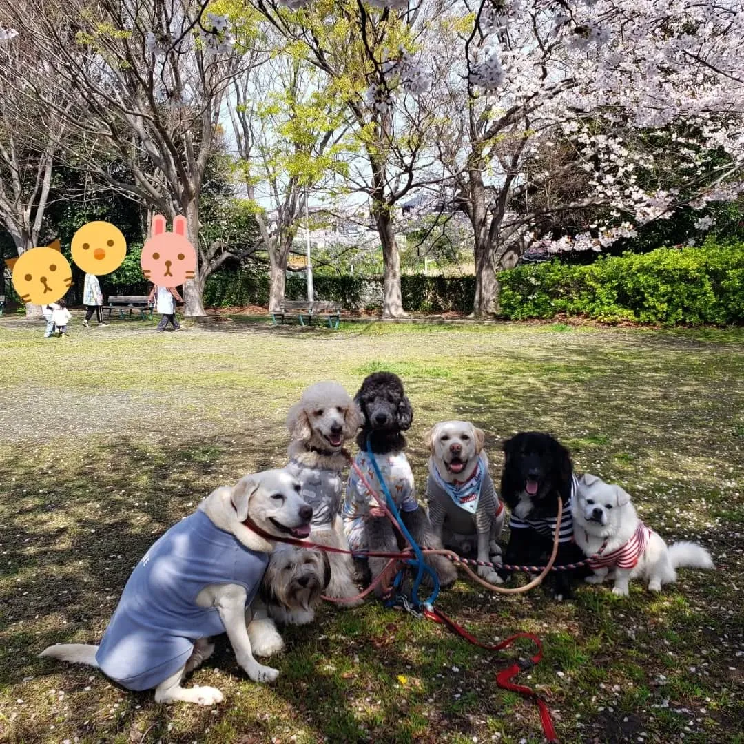 朝はみんなでお散歩へ行ってきました😊