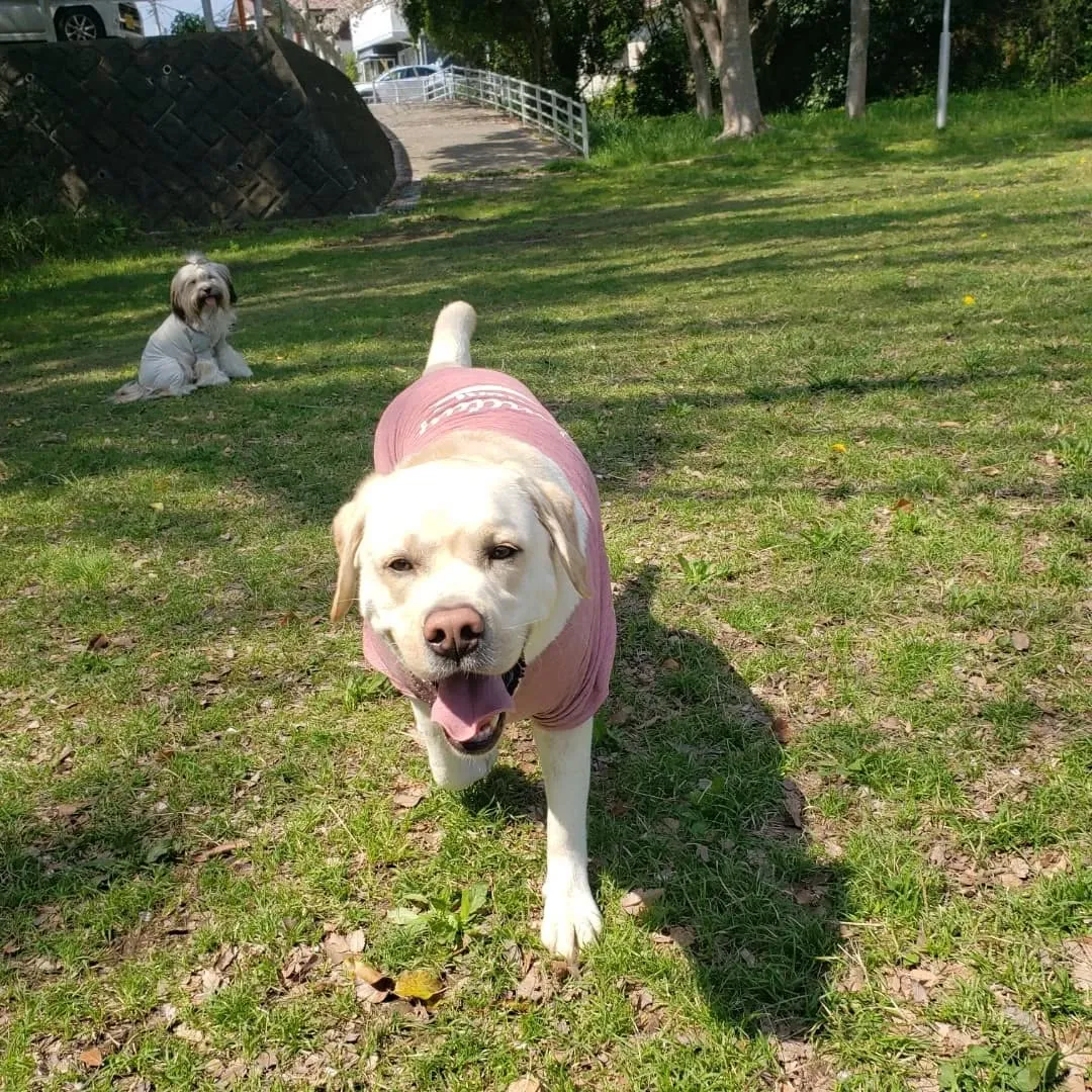 良いお天気になったので公園でプレイタイム💓