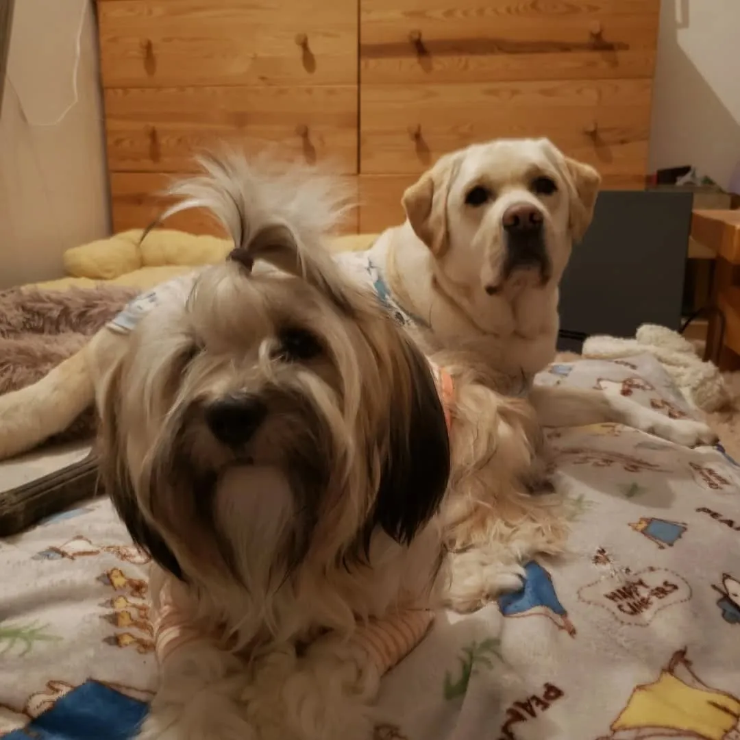 食後のリラックスタイム💓