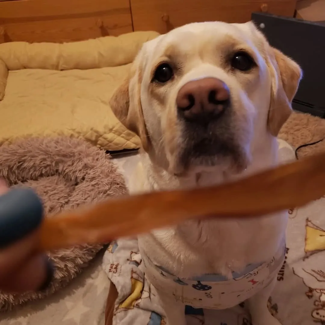 食後のリラックスタイム💓