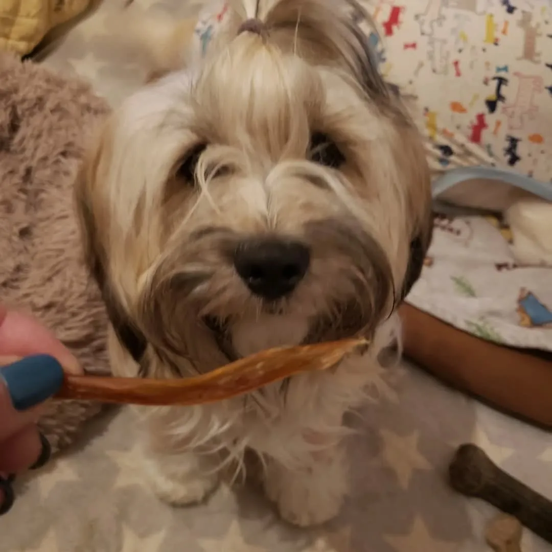 食後のリラックスタイム💓
