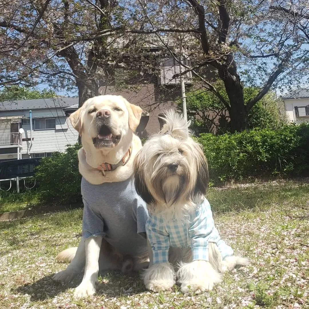 よいお天気なので公園へ♪