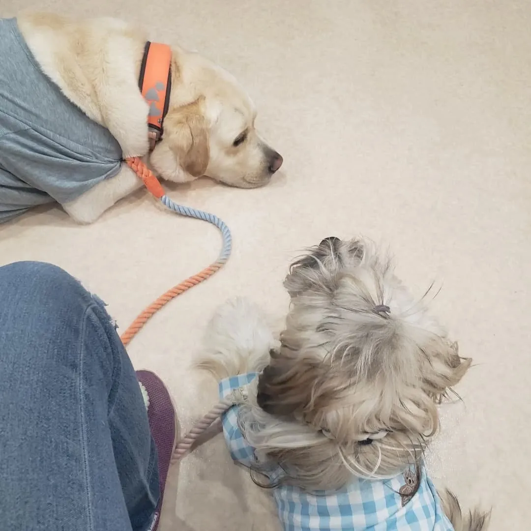 よいお天気なので公園へ♪