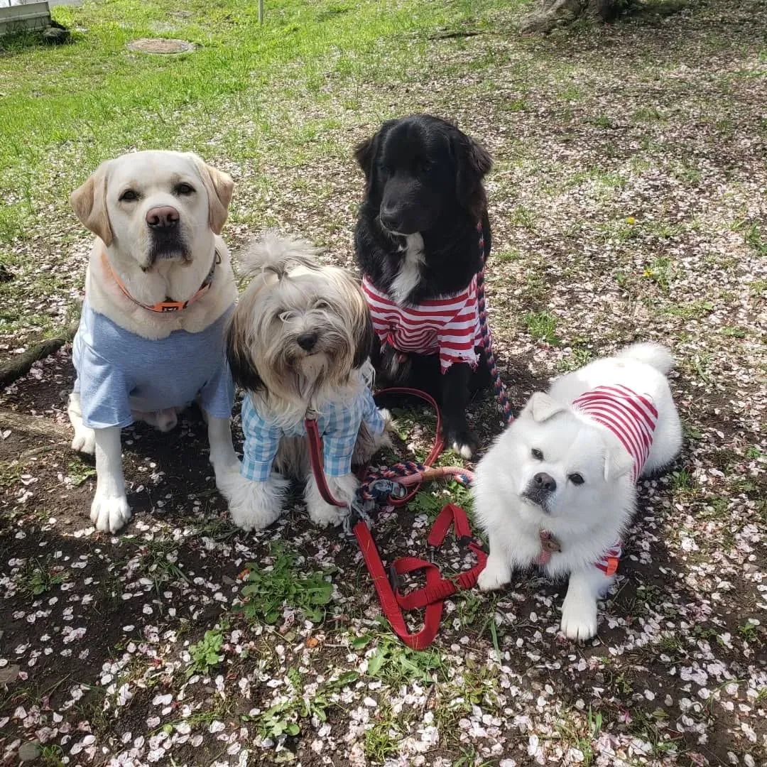 お天気が良いのでお散歩と公園遊び♪