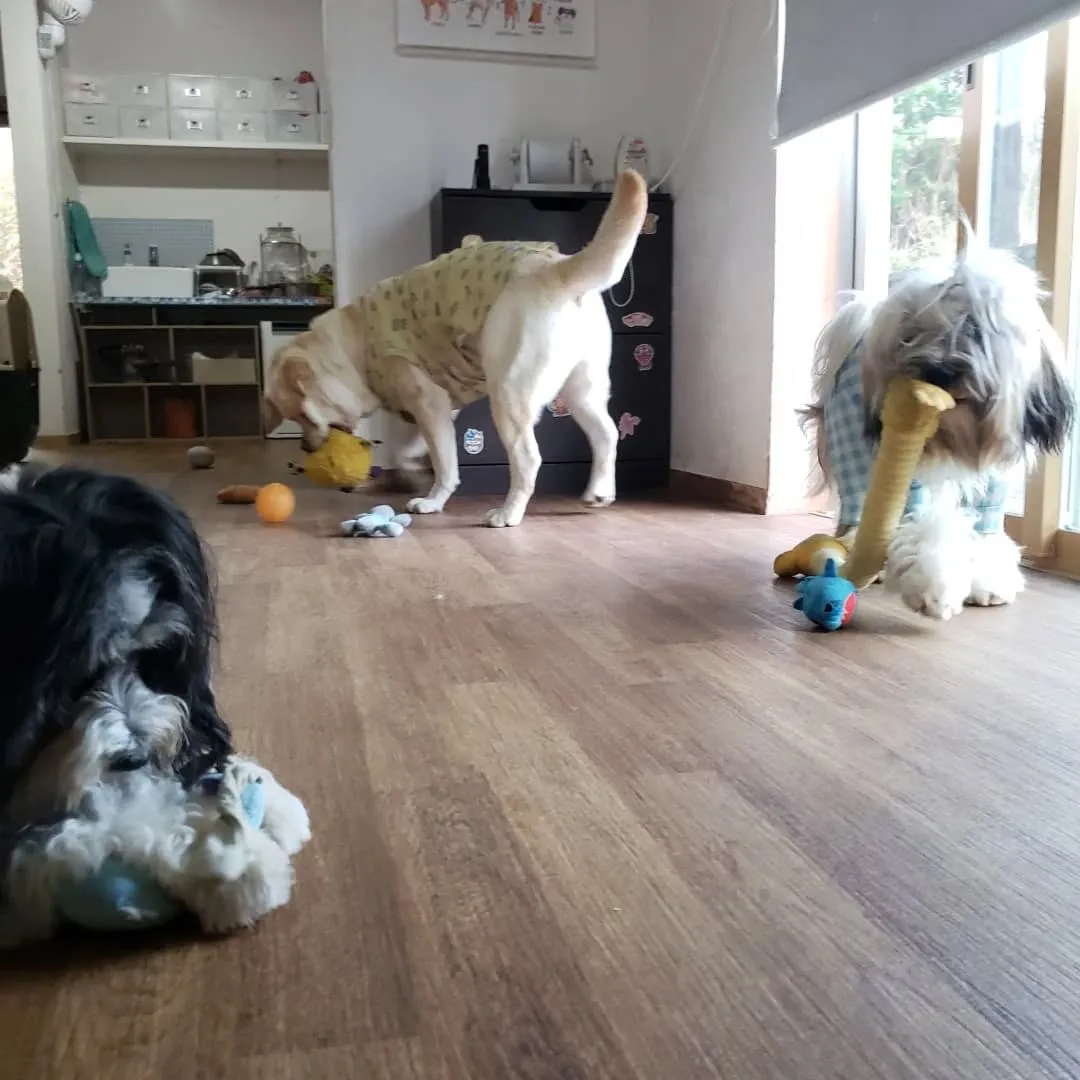 みんなでお散歩へ行ってきました♪