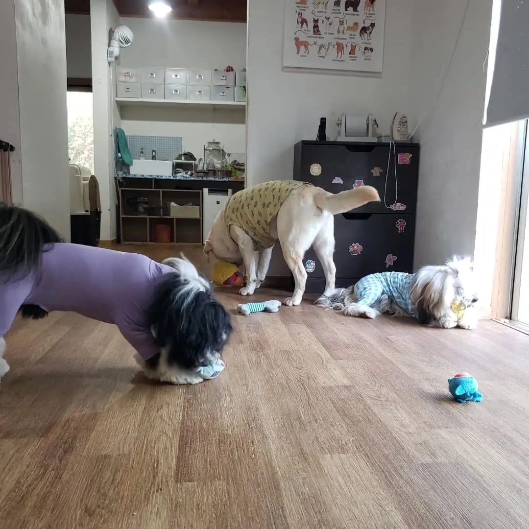 みんなでお散歩へ行ってきました♪