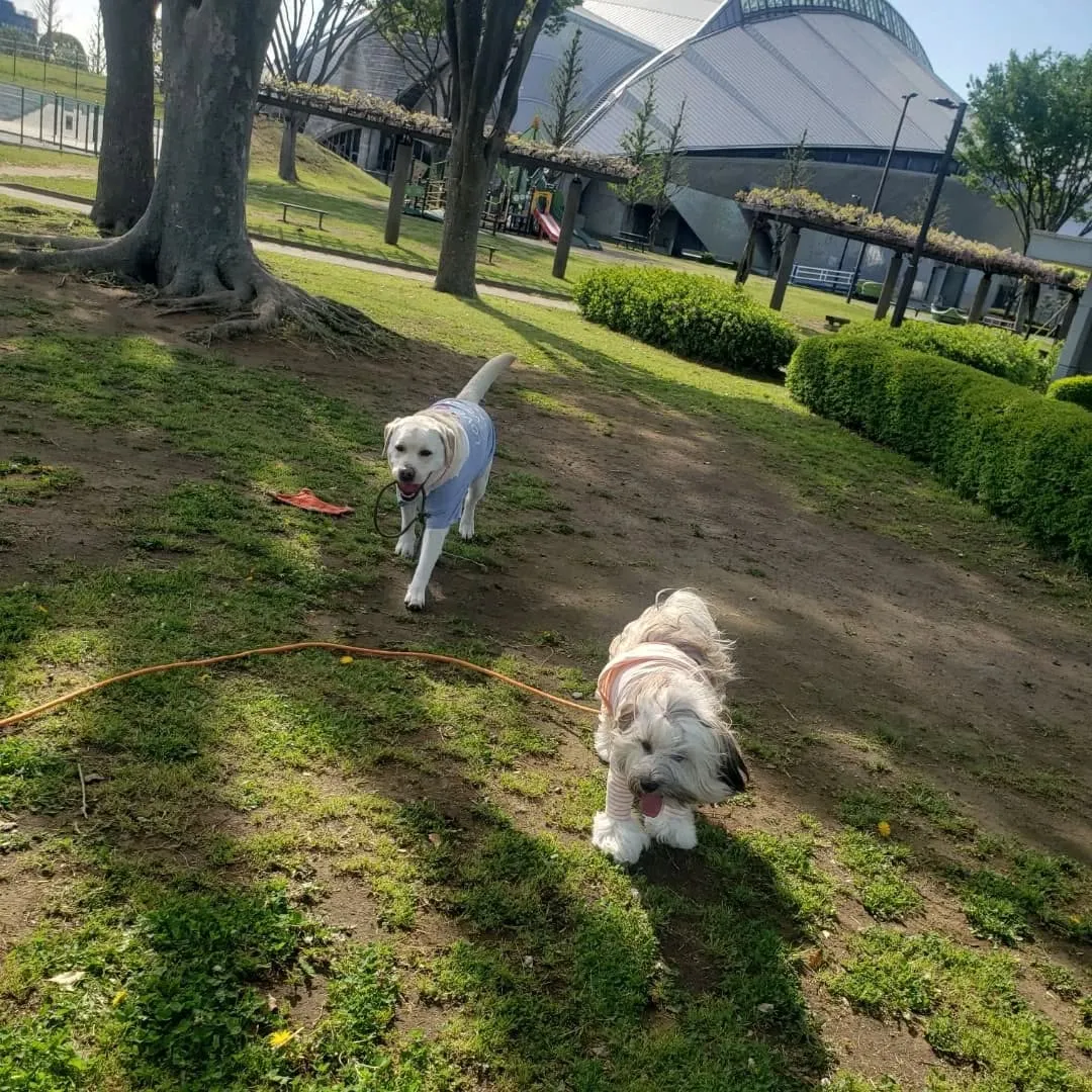 朝早くお家をでてアジのレッスンに向かいましたが予約時間の手違...