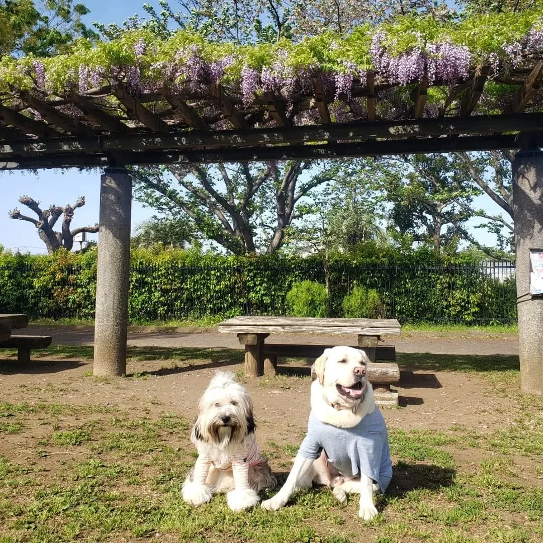 朝早くお家をでてアジのレッスンに向かいましたが予約時間の手違...