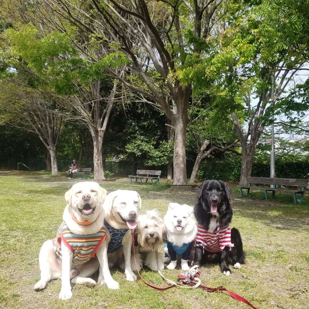 みんなでお散歩へ行ってきました🎵