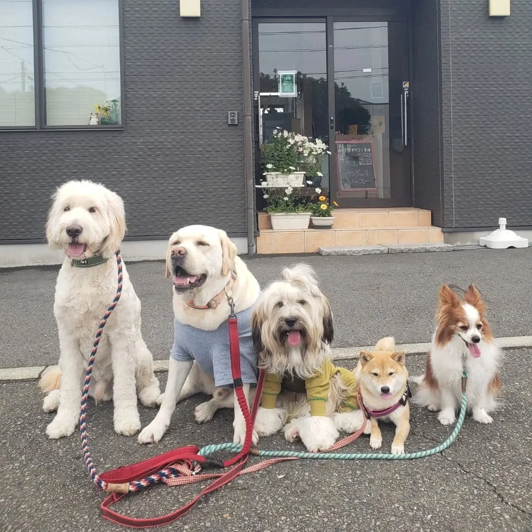 お天気になったのでお散歩へ🎵