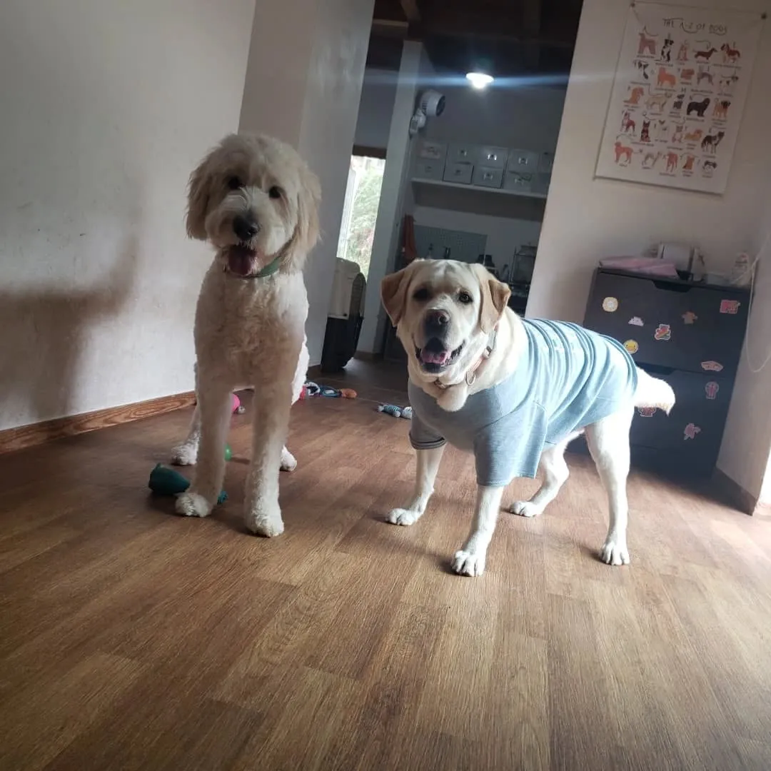 お天気になったのでお散歩へ🎵