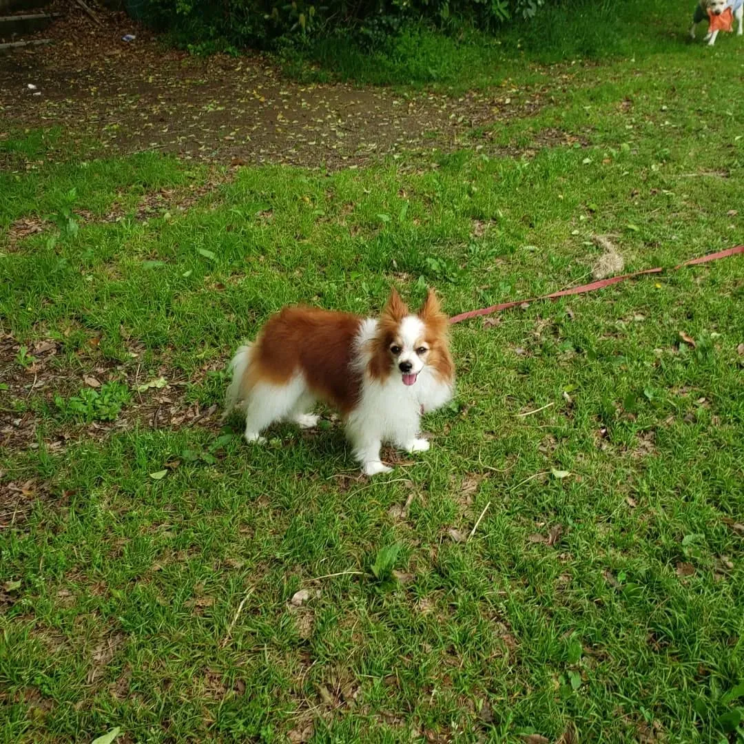 お天気になったのでお散歩へ🎵