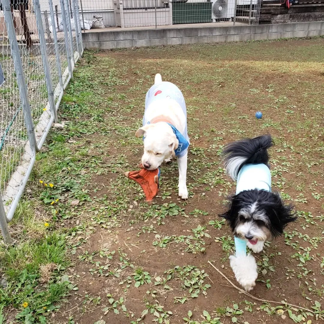 三崎まで歩いてきました🎵