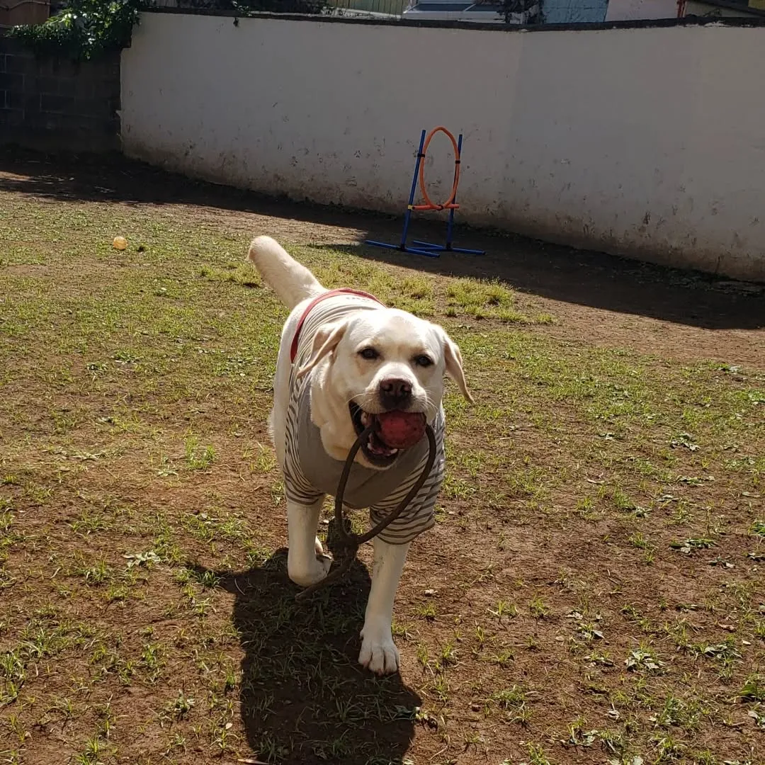 ランで遊ぶロデイとまーちゃん💓