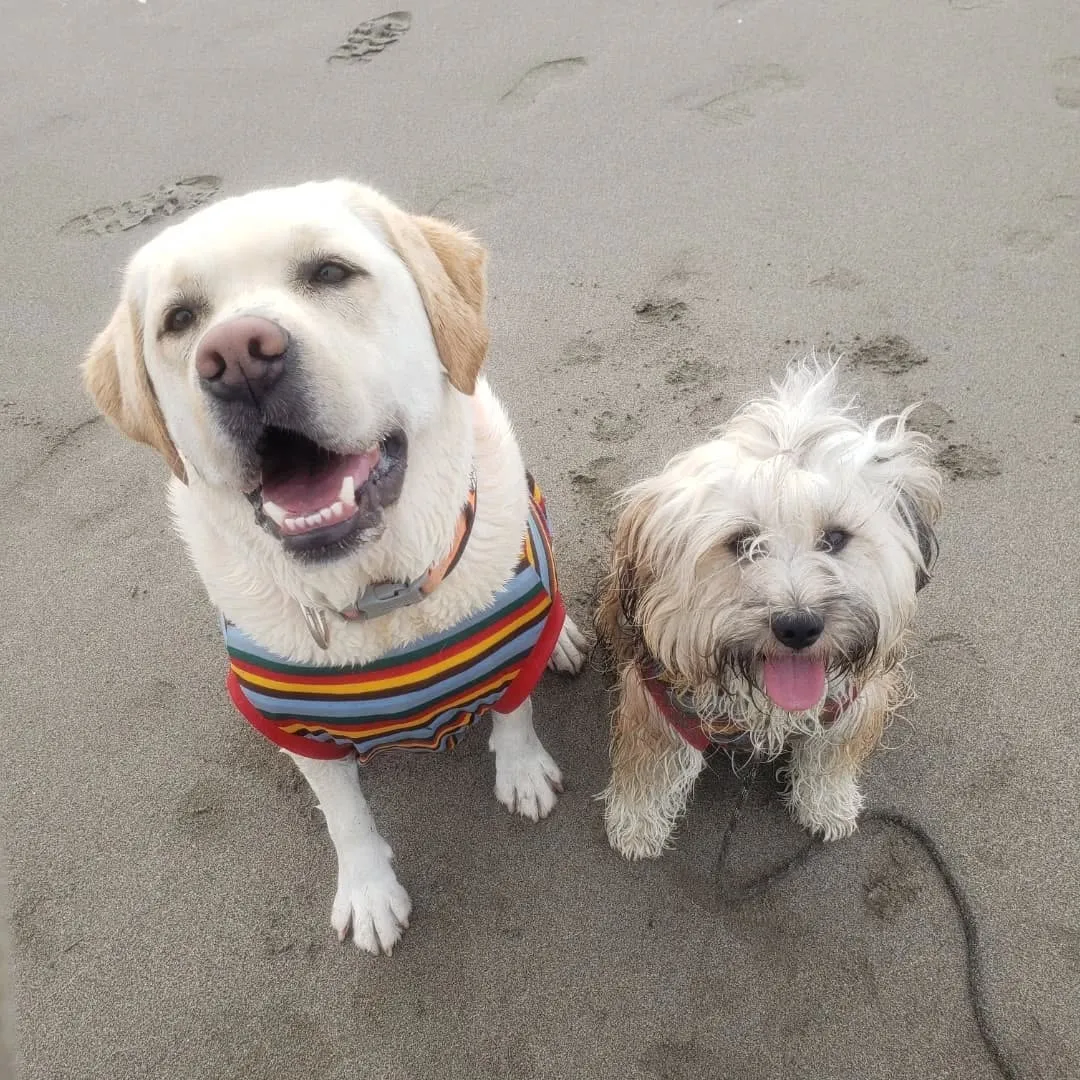 久しぶりに夕方海岸へ🎵