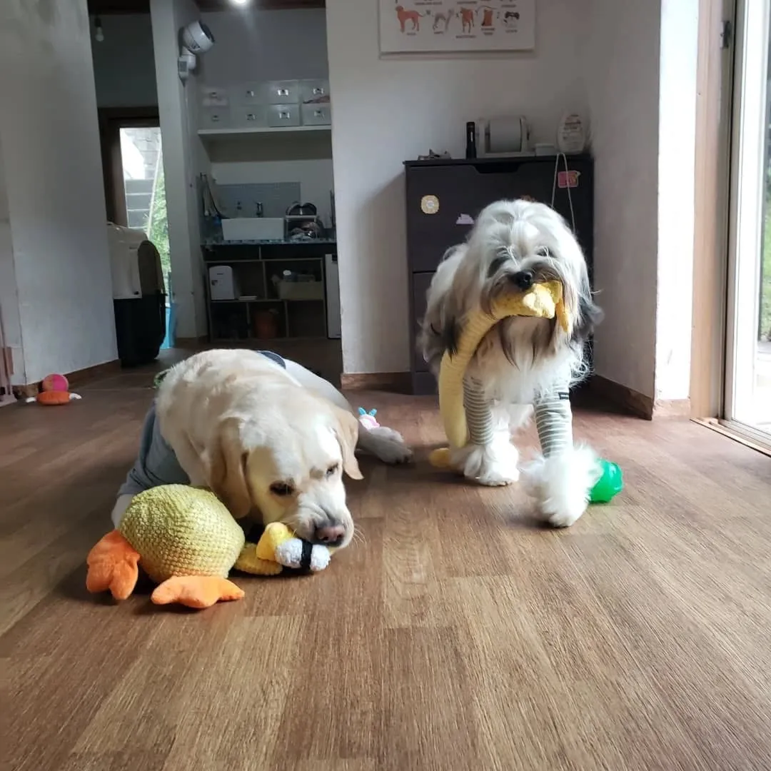 ずっと晴れの日が続いてたけれど1日中雨☔