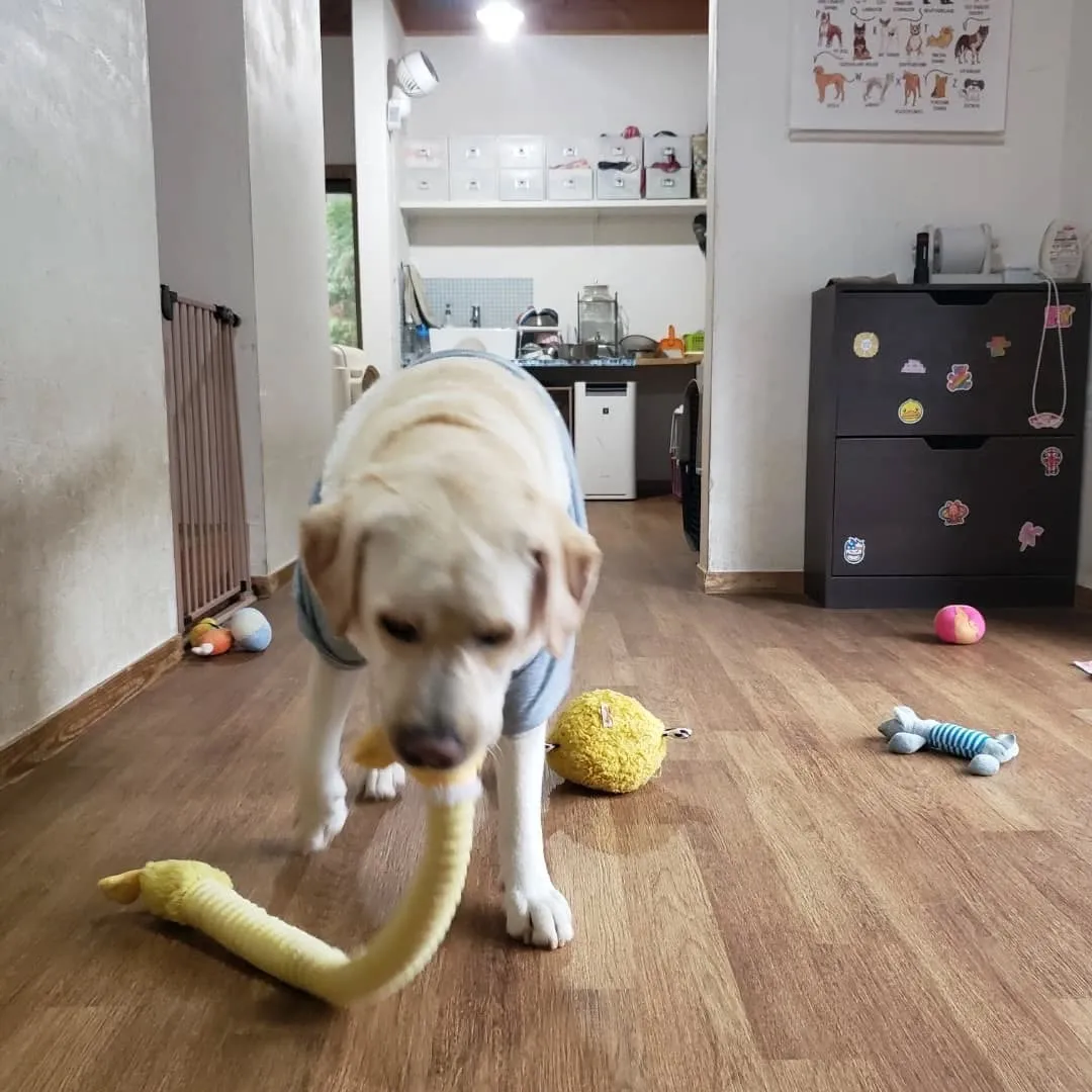 ずっと晴れの日が続いてたけれど1日中雨☔