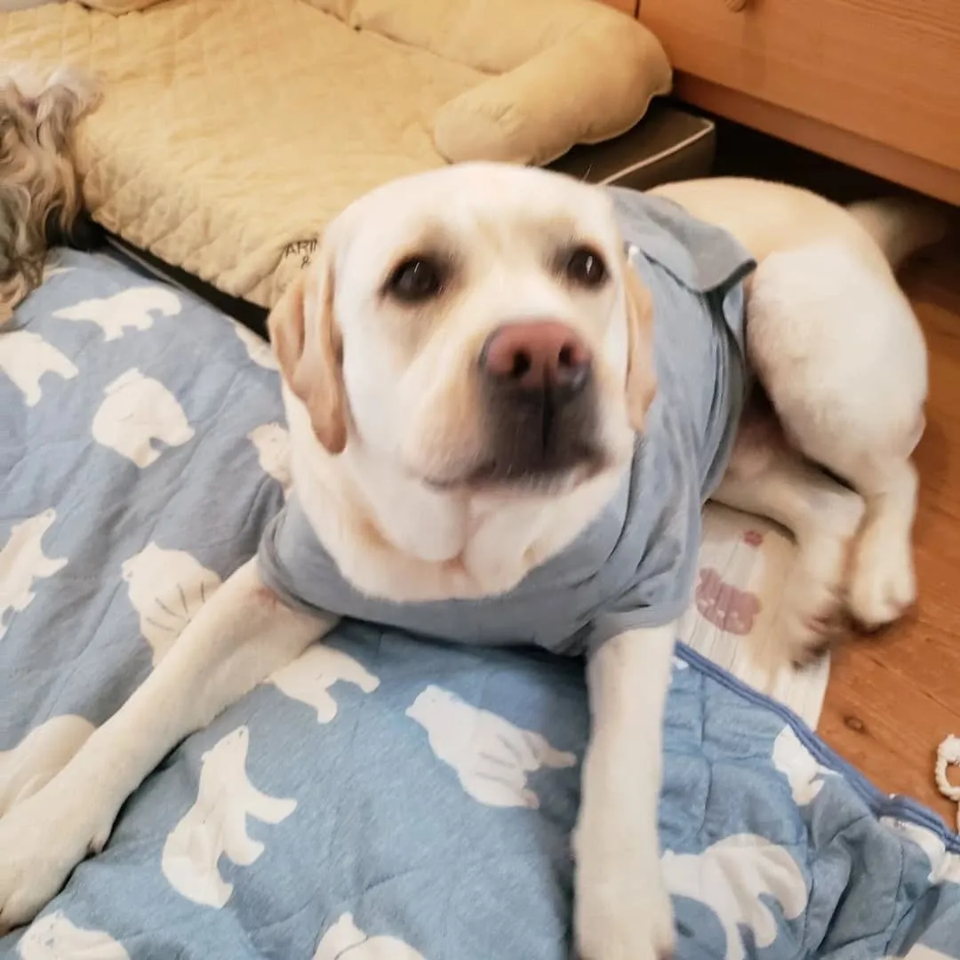 ずっと晴れの日が続いてたけれど1日中雨☔