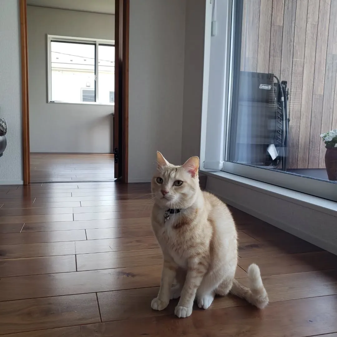 まろちゃんのお世話に行ってきました🎵