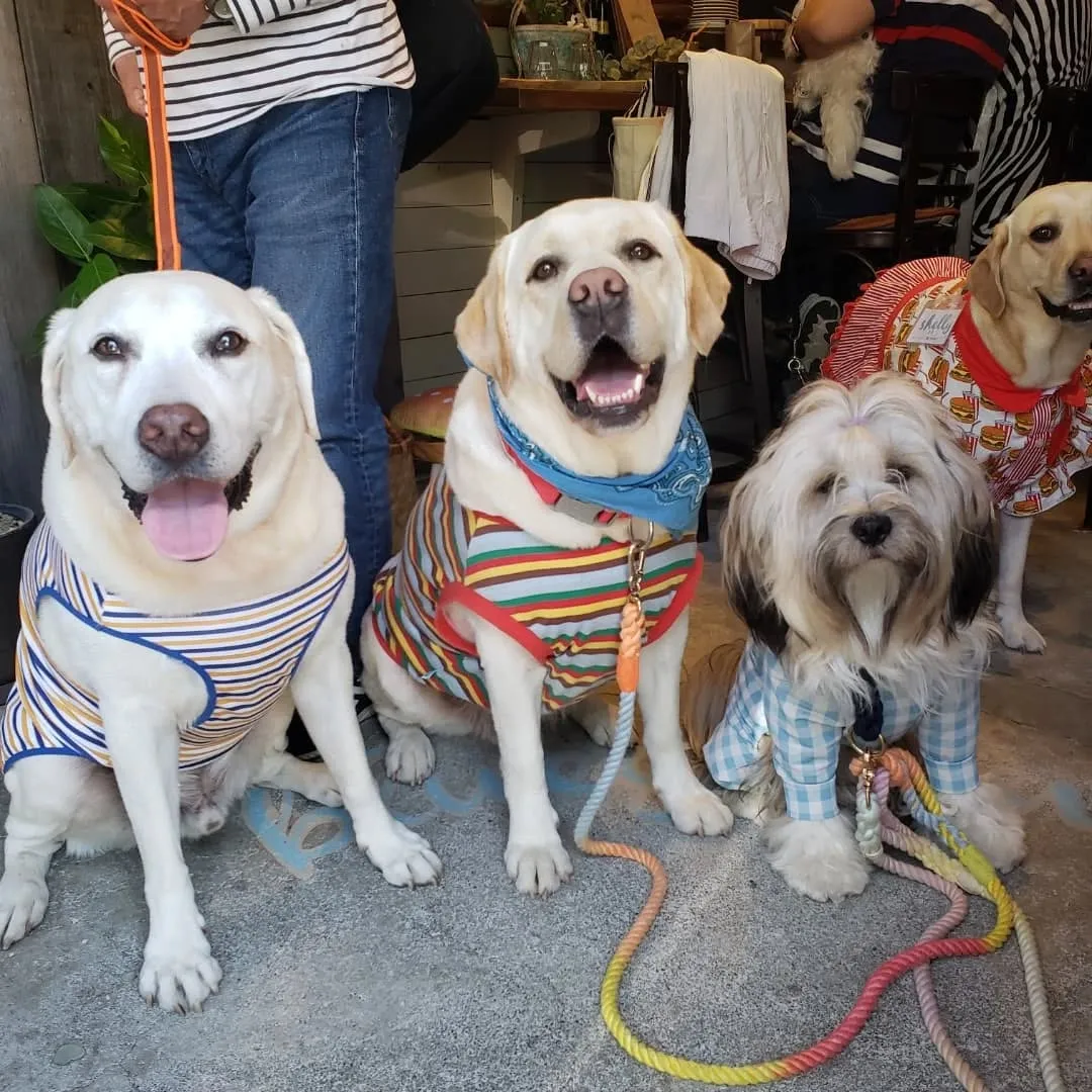 ブルーグリーンさんでランチ🍔
