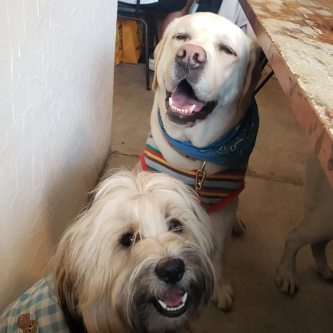 ブルーグリーンさんでランチ🍔