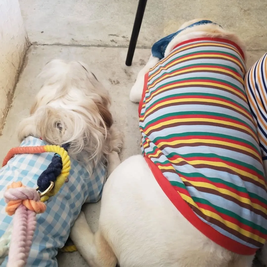 ブルーグリーンさんでランチ🍔