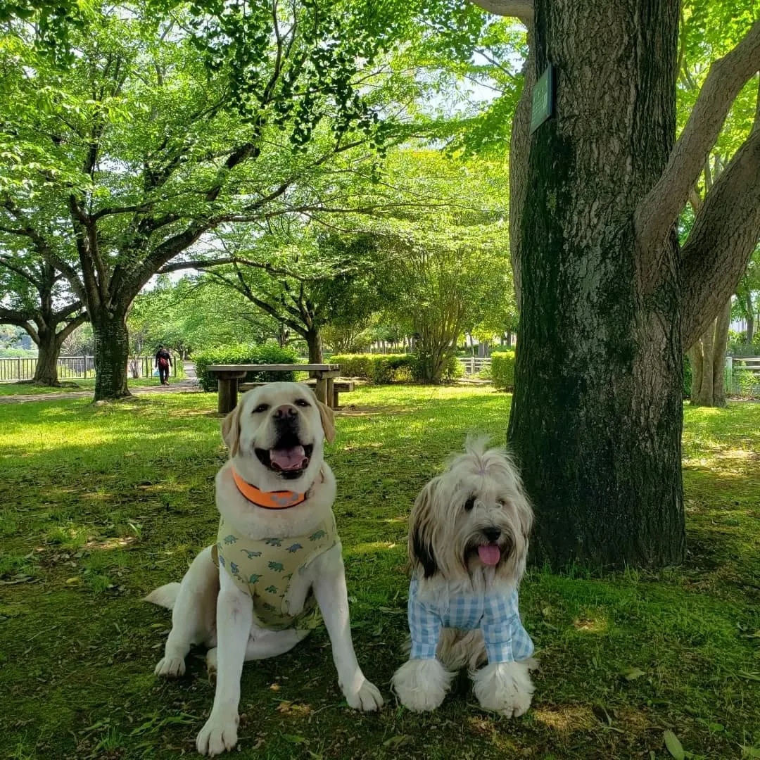 めっちゃ良いお天気になりました😊