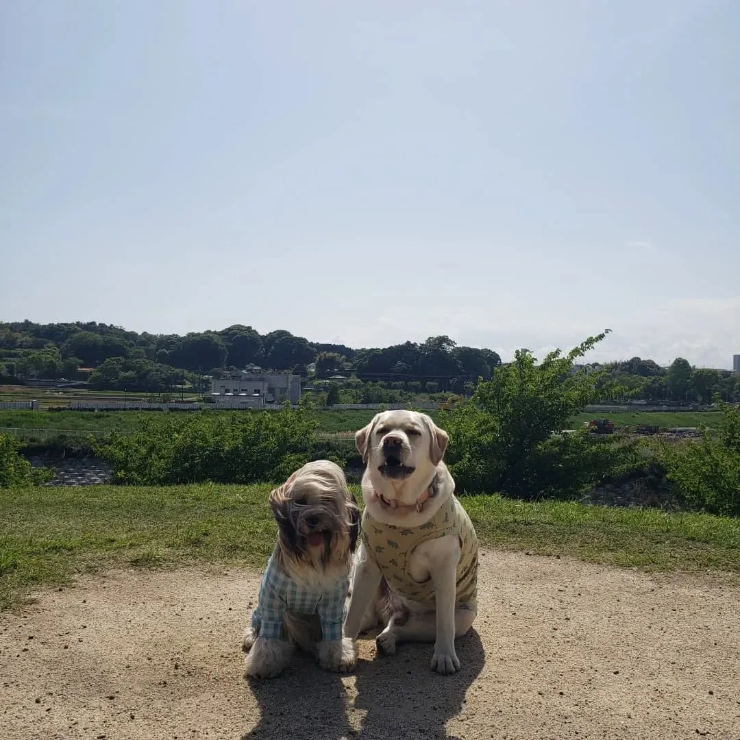 めっちゃ良いお天気になりました😊