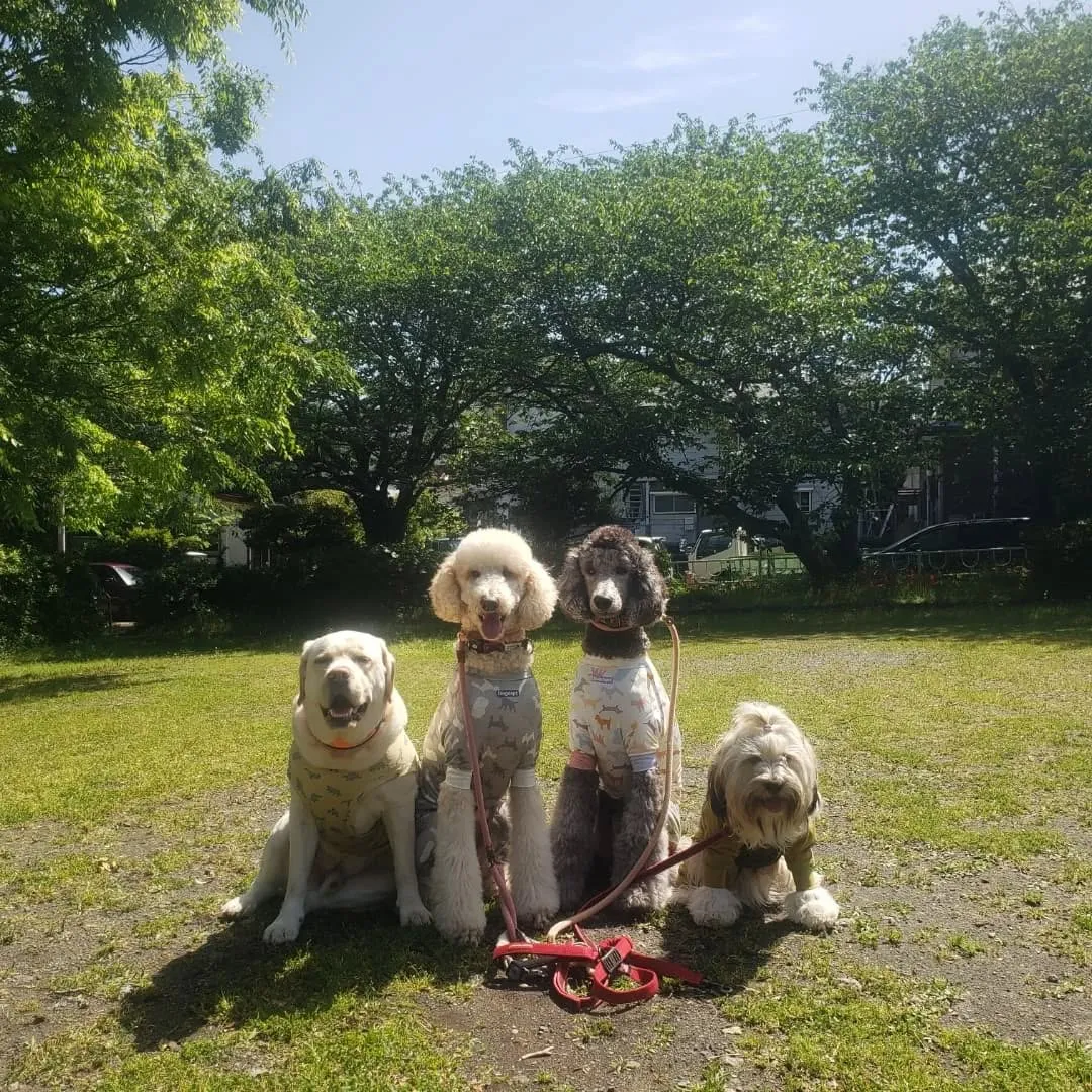 昨日とはガラリと変わって良いお天気😊