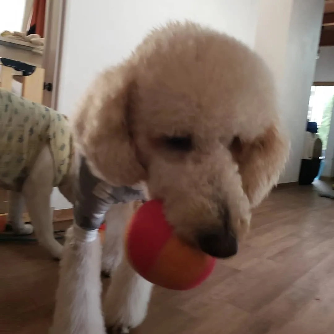 昨日とはガラリと変わって良いお天気😊