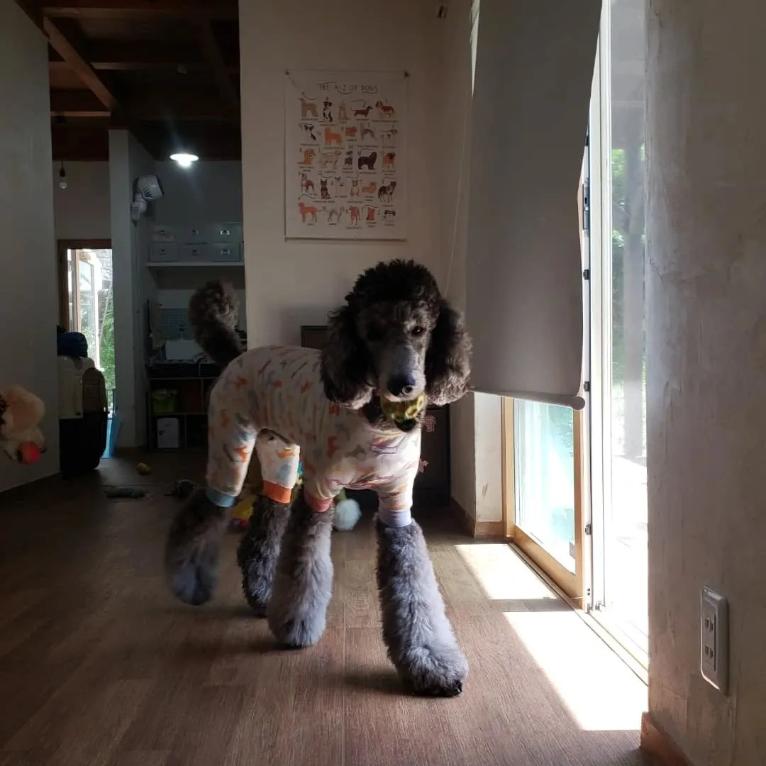 昨日とはガラリと変わって良いお天気😊