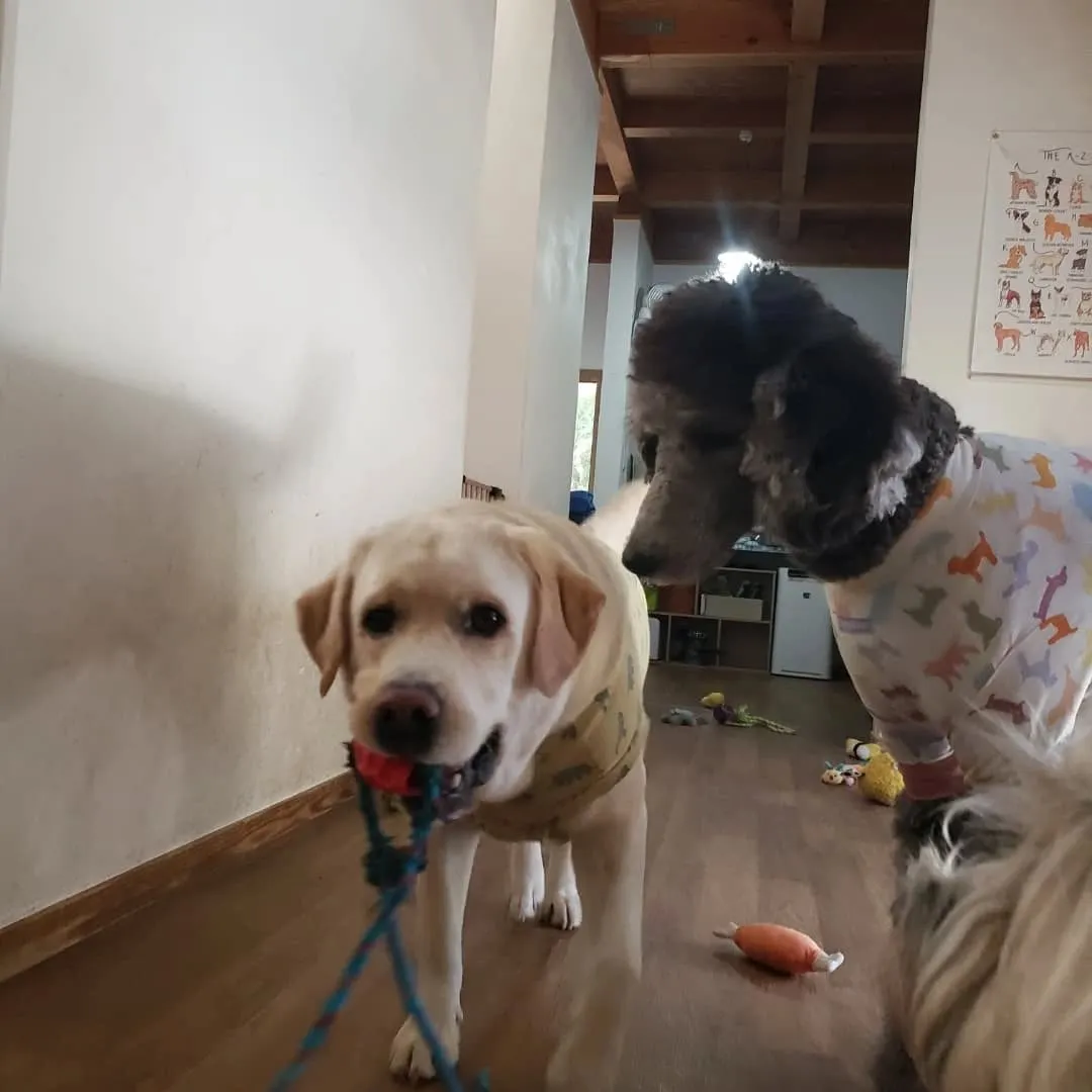 昨日とはガラリと変わって良いお天気😊