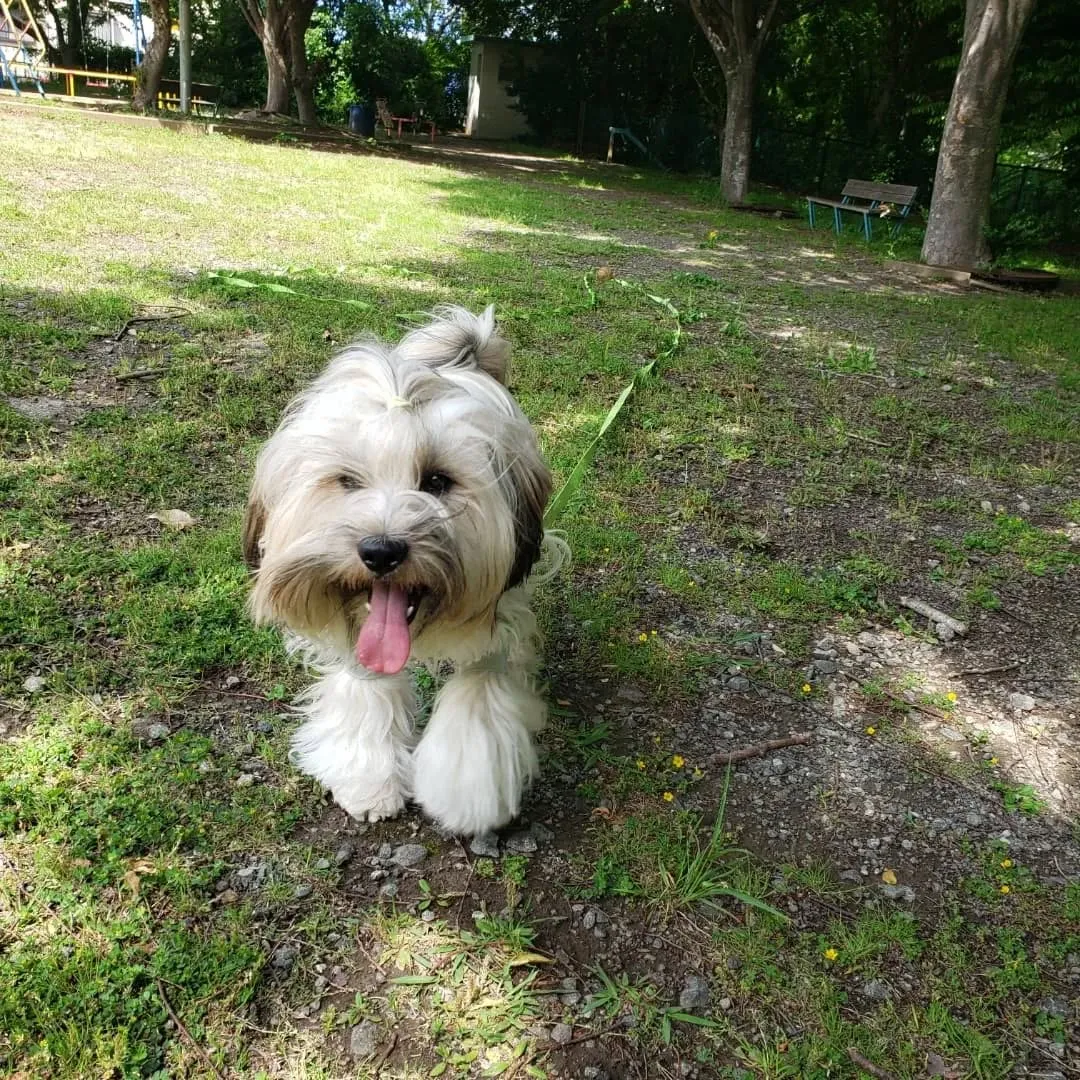 お天気が良かったので公園へ♪