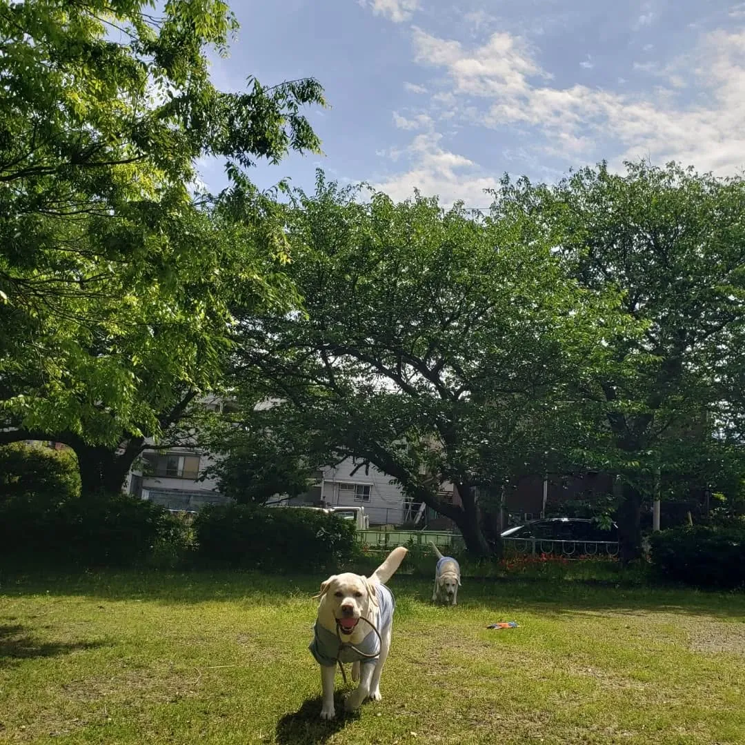 お天気が良かったので公園へ♪