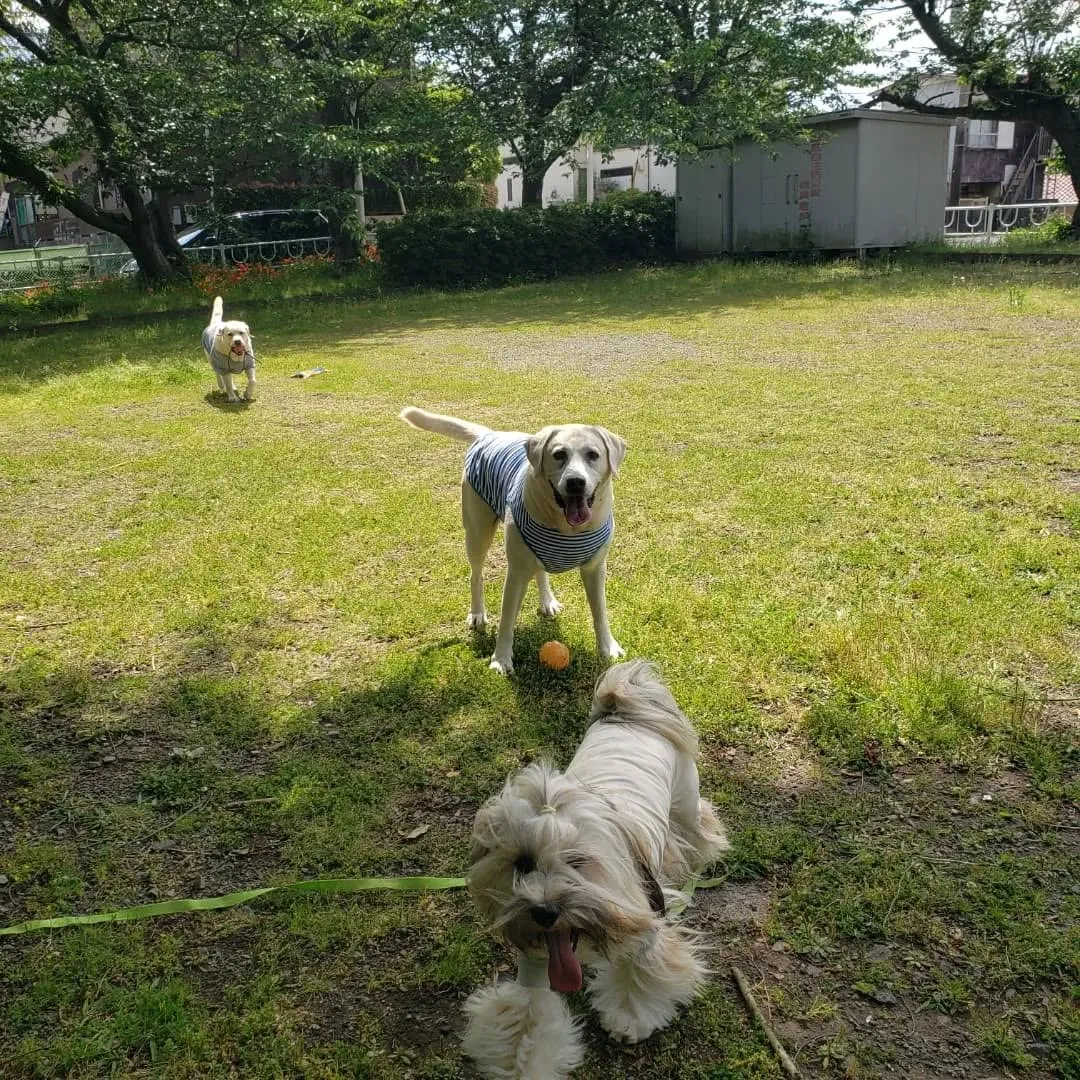 お天気が良かったので公園へ♪