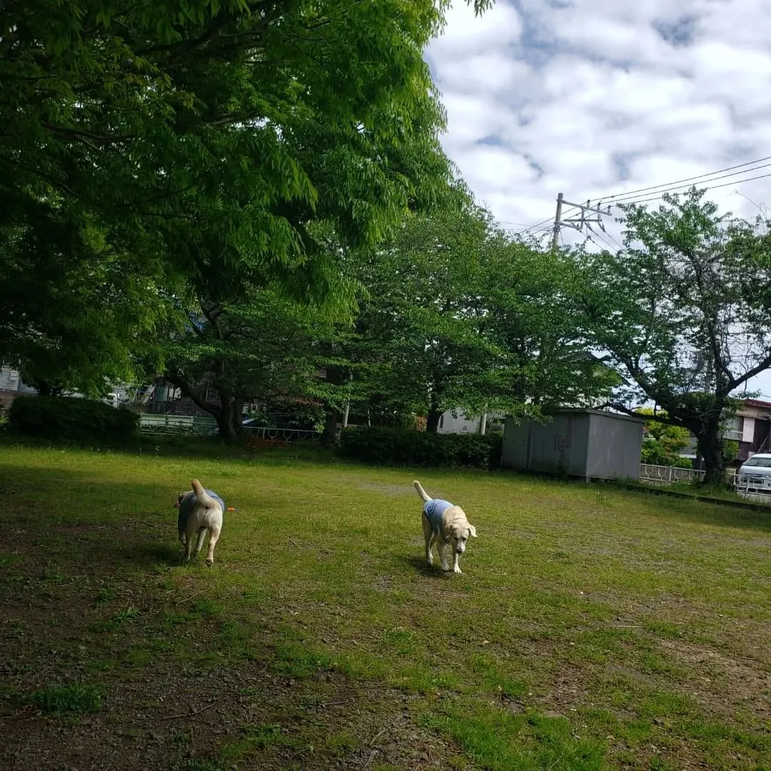 お天気が良かったので公園へ♪