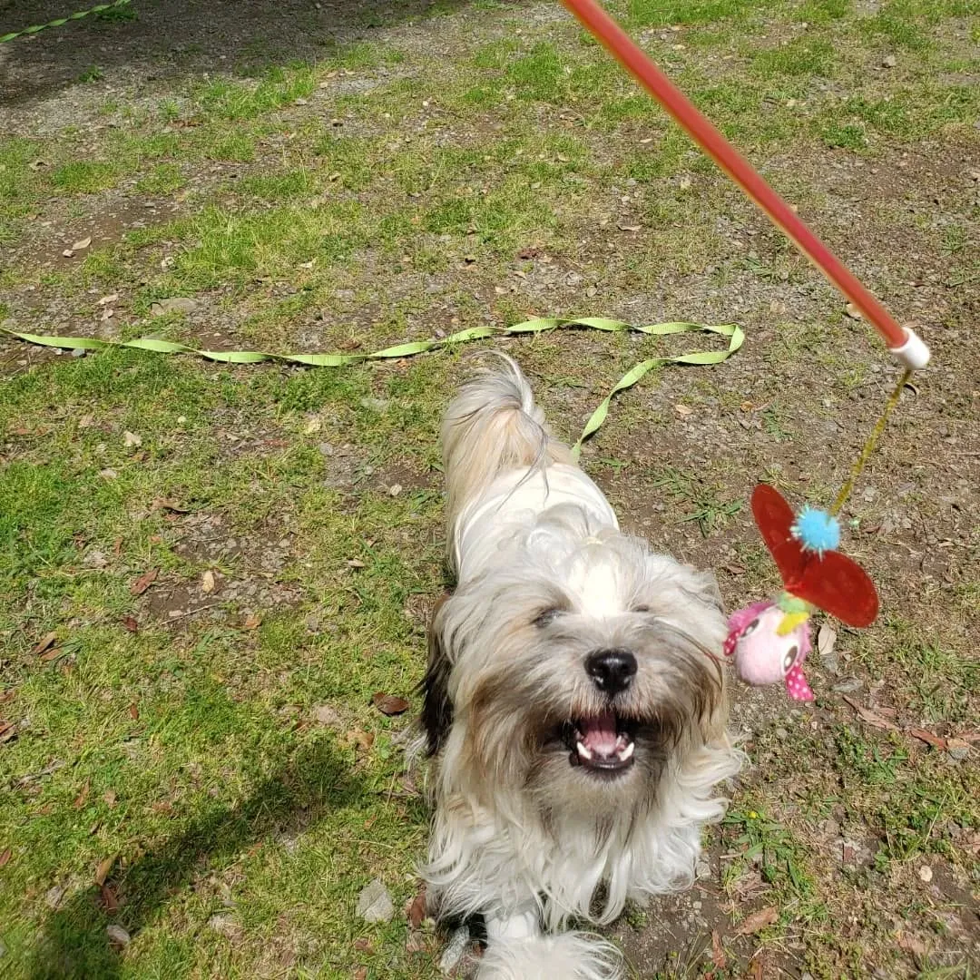 お天気が良かったので公園へ♪