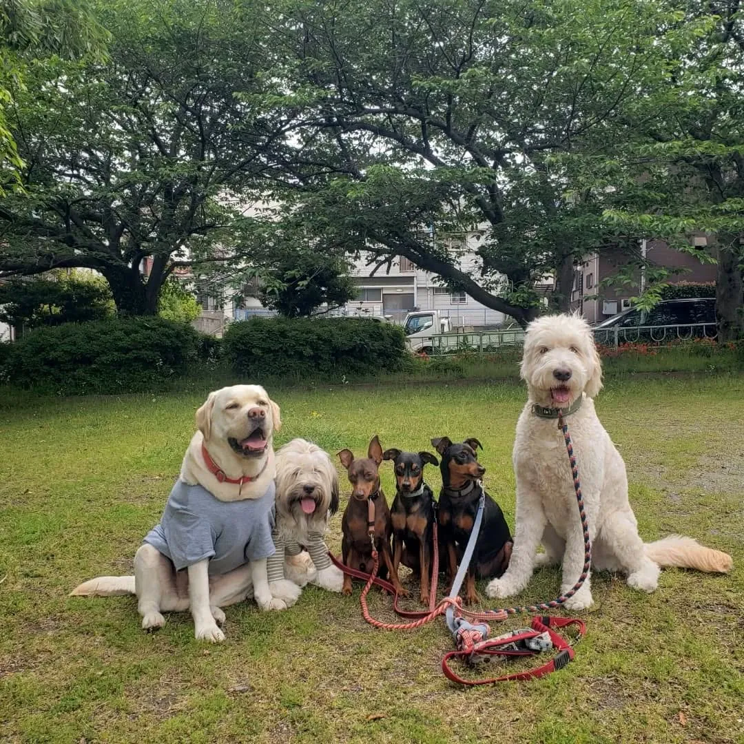 みんなでお散歩へ♪