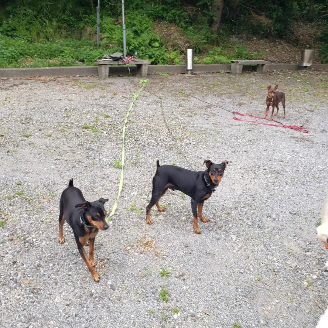 みんなでお散歩へ♪