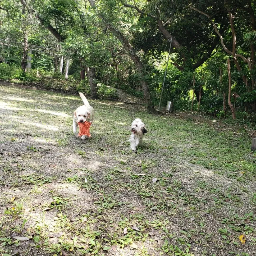 お天気になって暑くなってきました😊