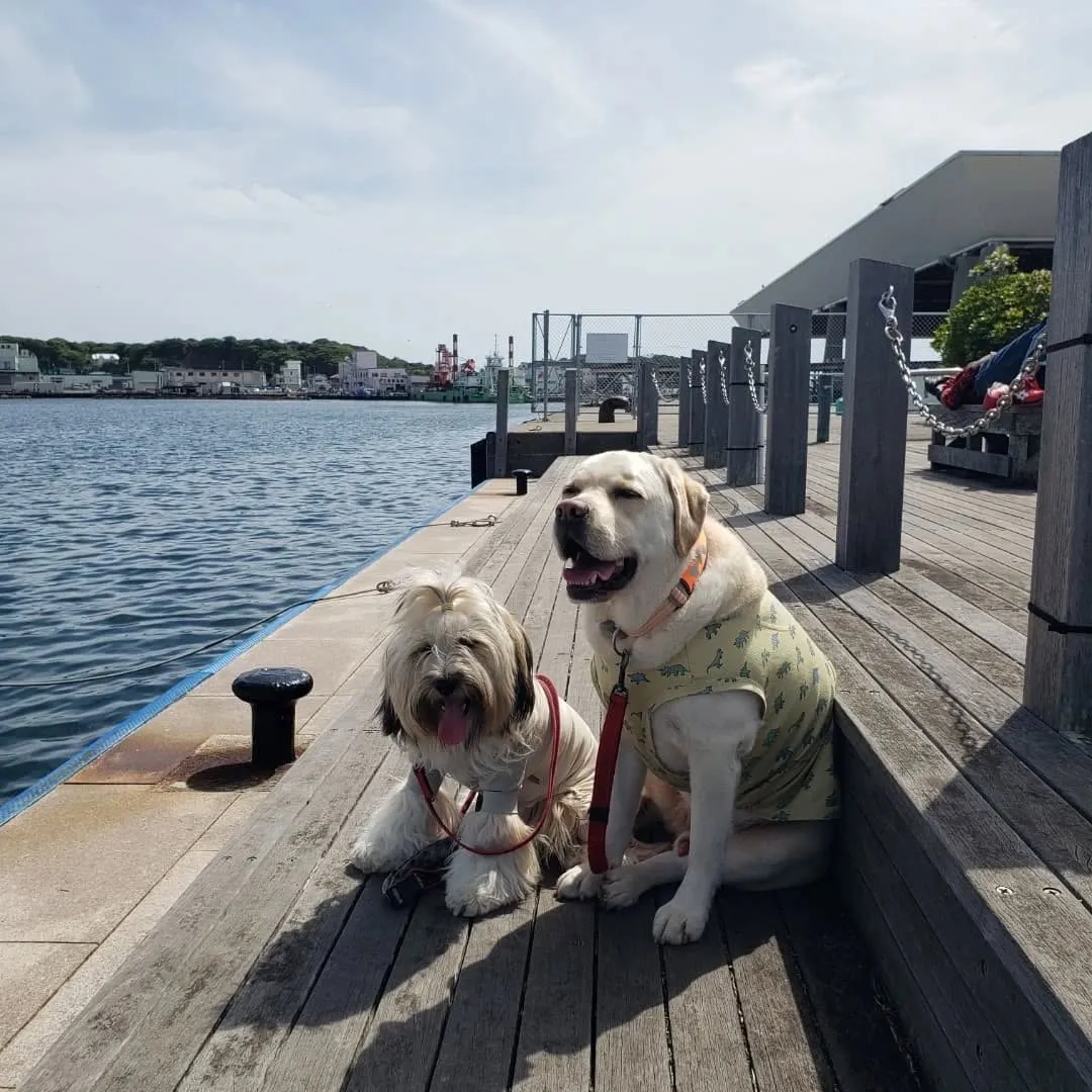 お天気になって暑くなってきました😊
