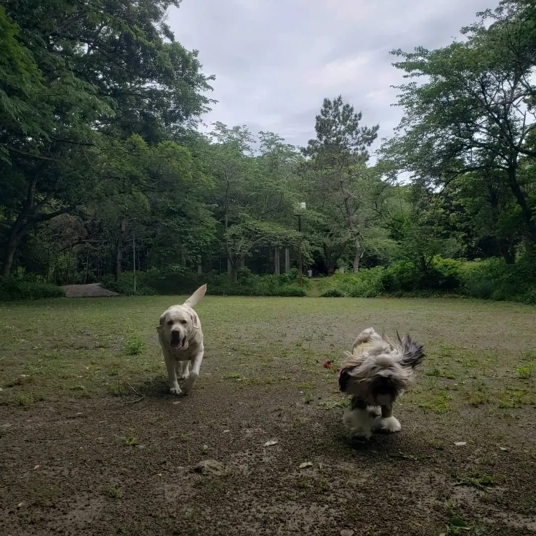 お天気になって暑くなってきました😊