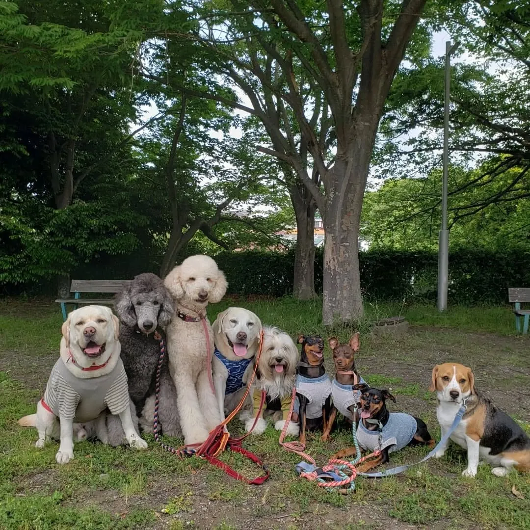 午前中はみんなでお散歩行ってきました😊