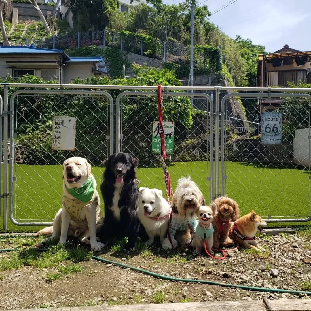 良いお天気になりました♪