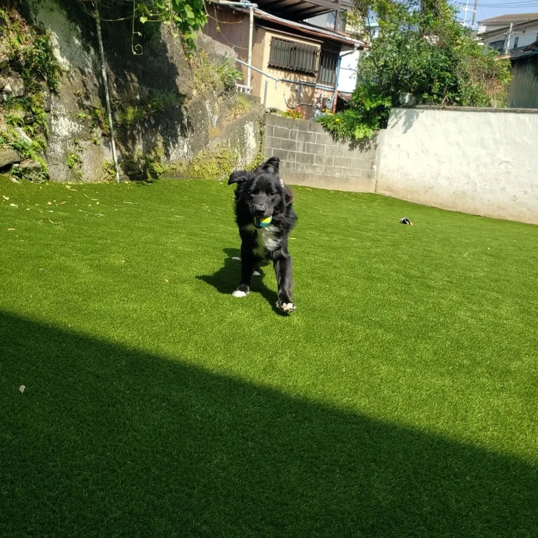 良いお天気になりました♪