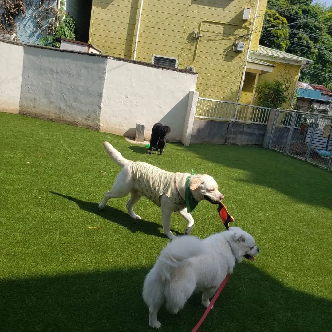 良いお天気になりました♪