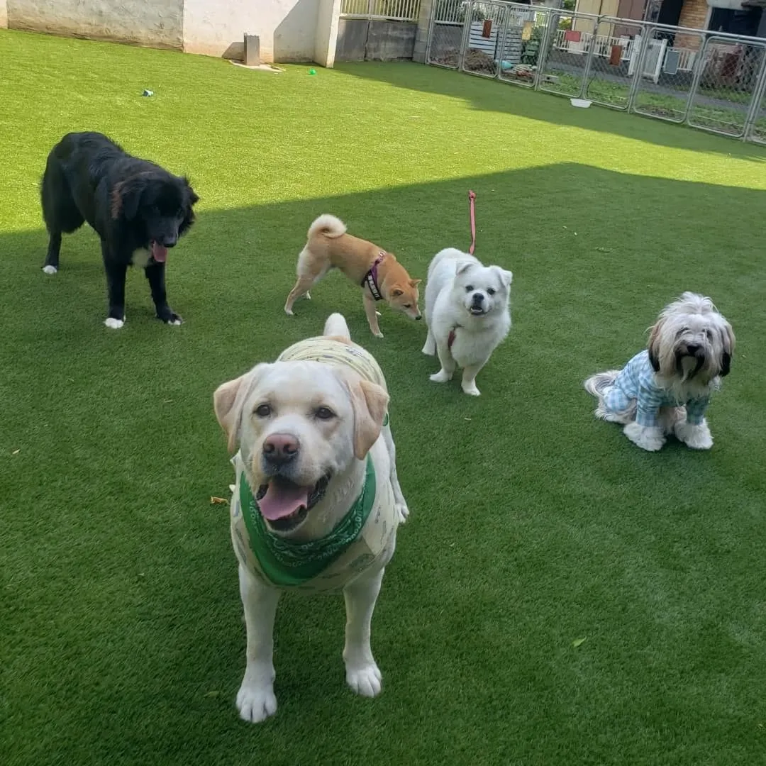 良いお天気になりました♪